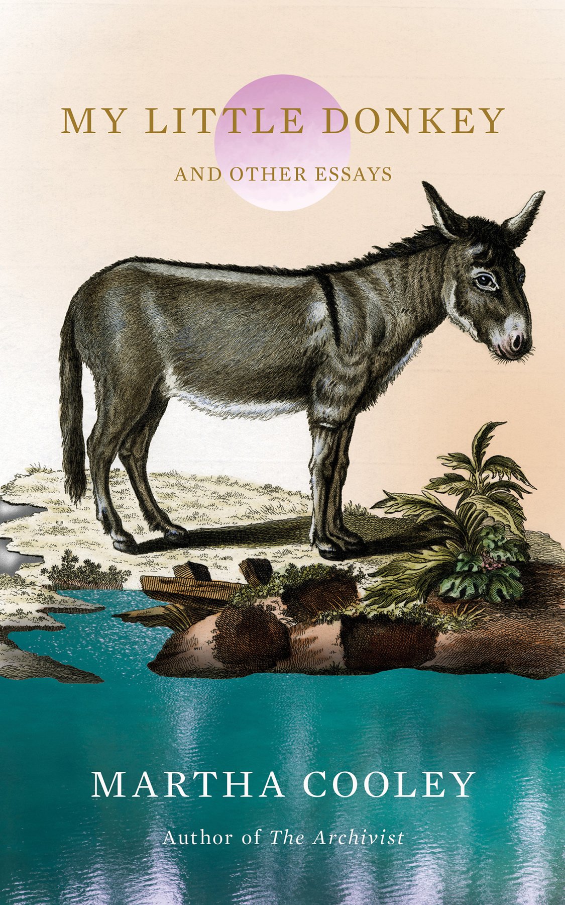 Cover of My Little Donkey (1962)