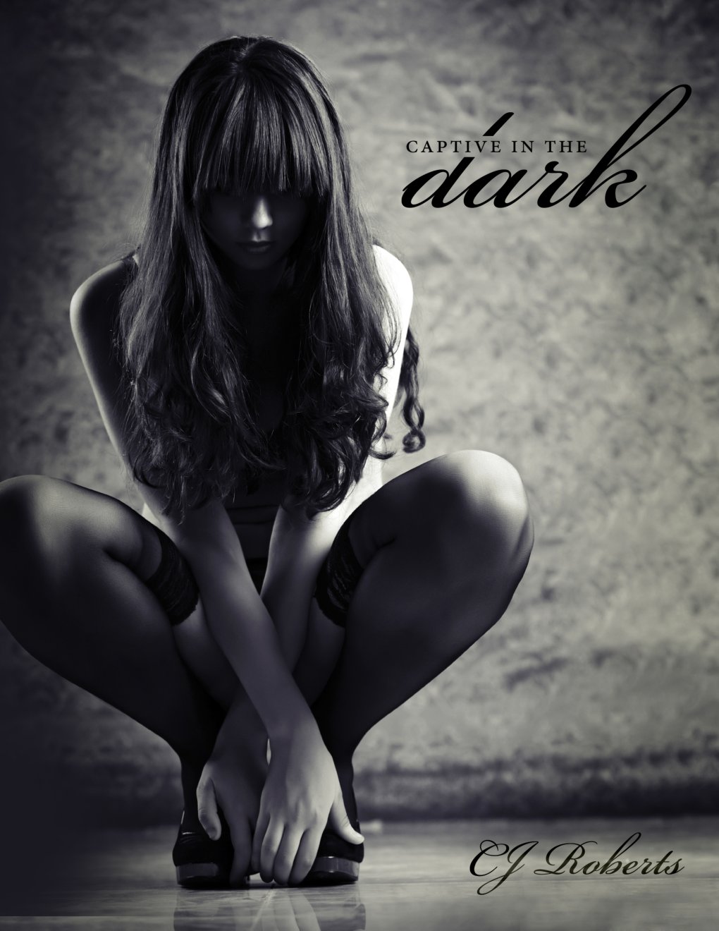 Cover of Captive in the Dark