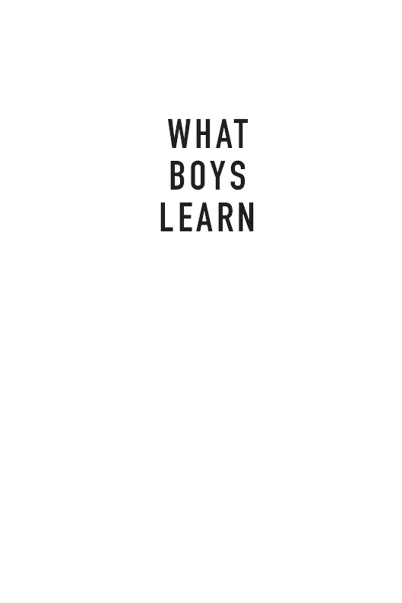 Cover of What Boys Learn