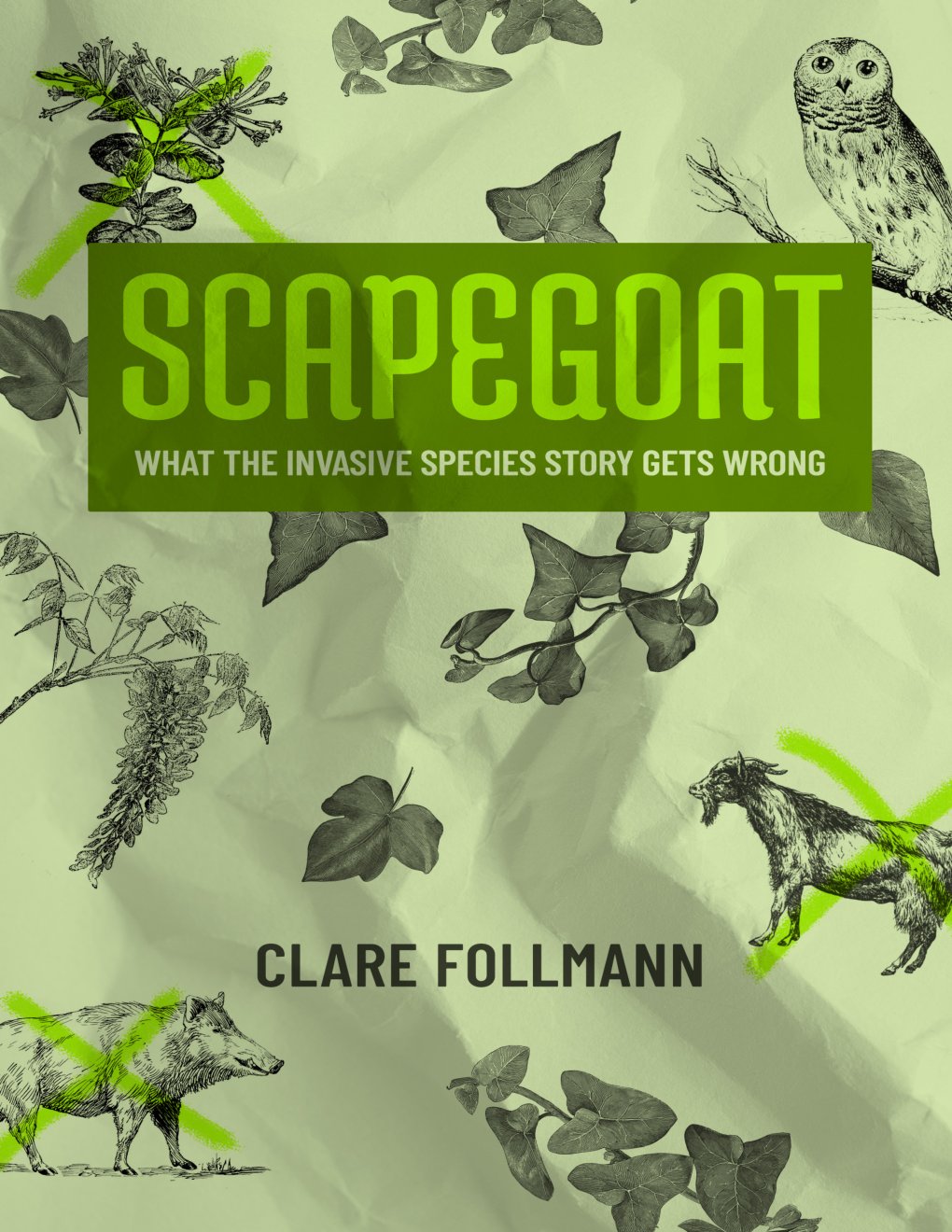 Cover of Scapegoat