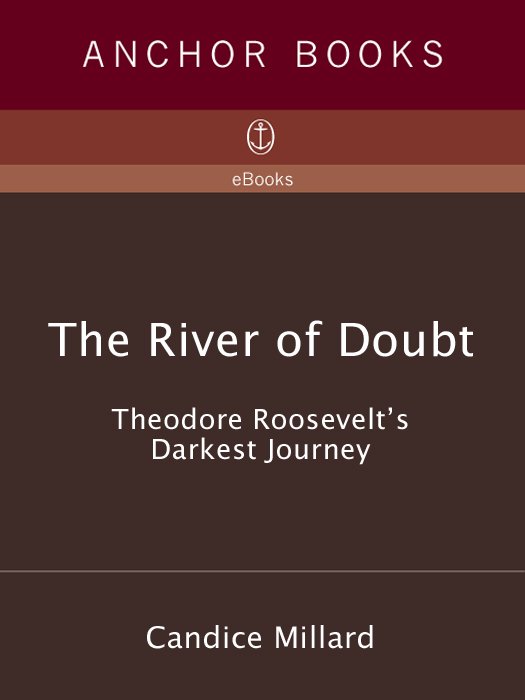 Cover of The River of Doubt (1880)