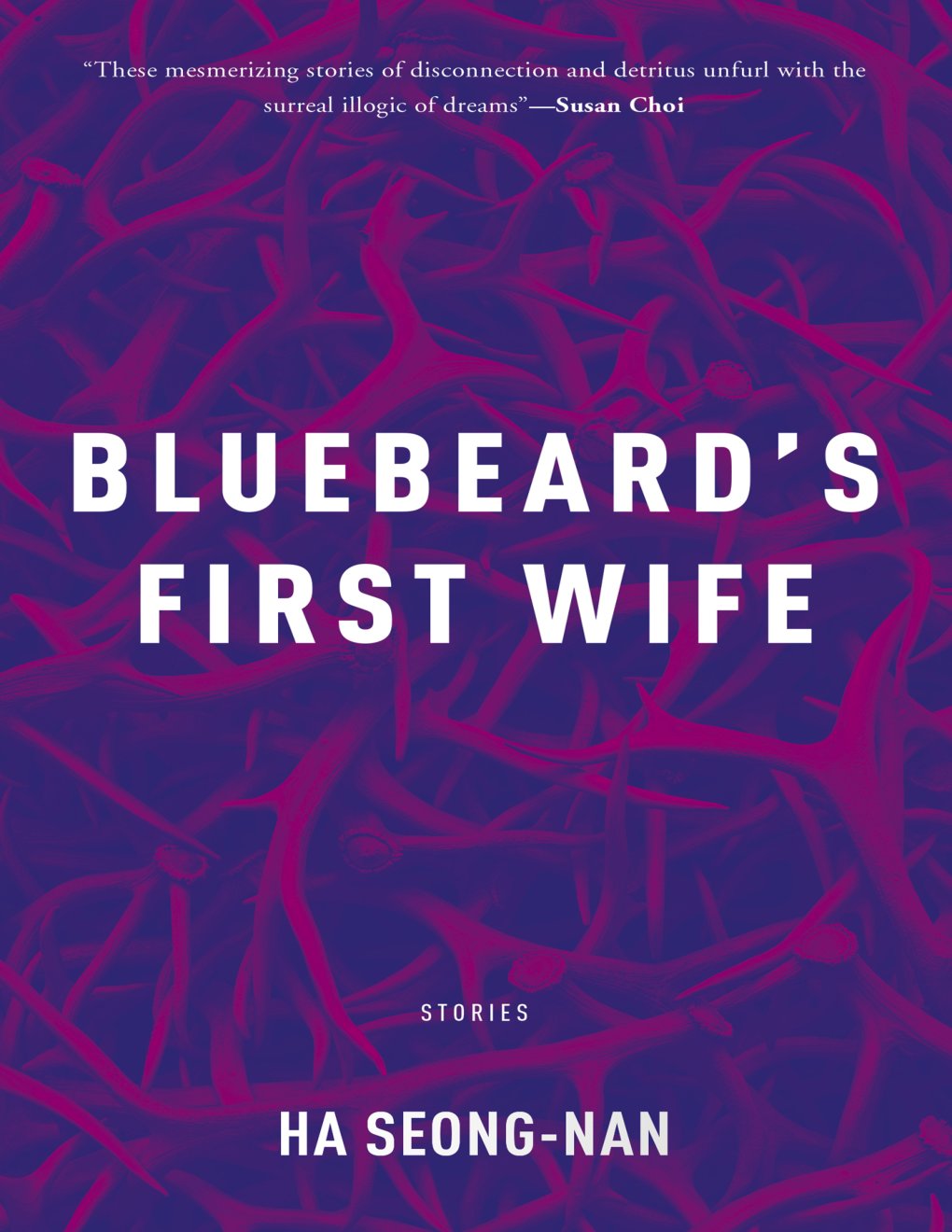 Cover of Bluebeard’s First Wife
