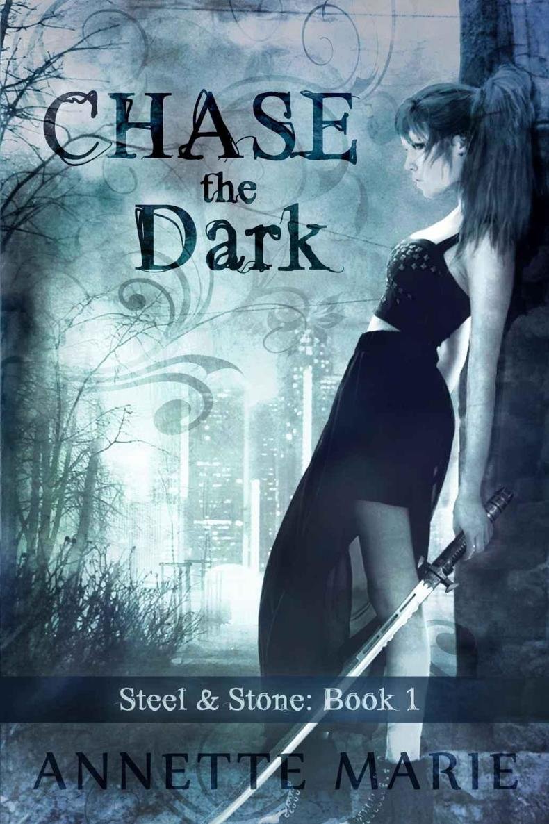Cover of Chase the Dark (2014)