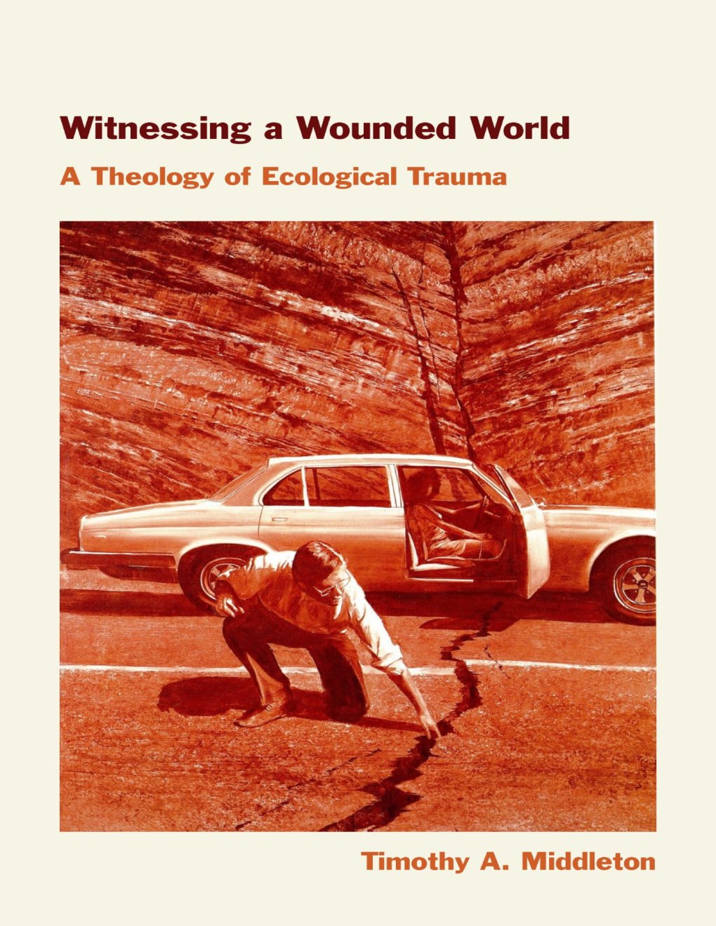 Cover of Witnessing a Wounded World
