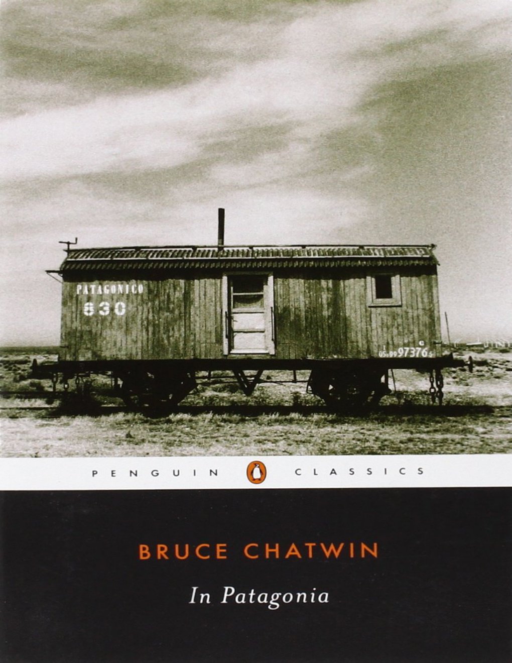 Cover of In Patagonia