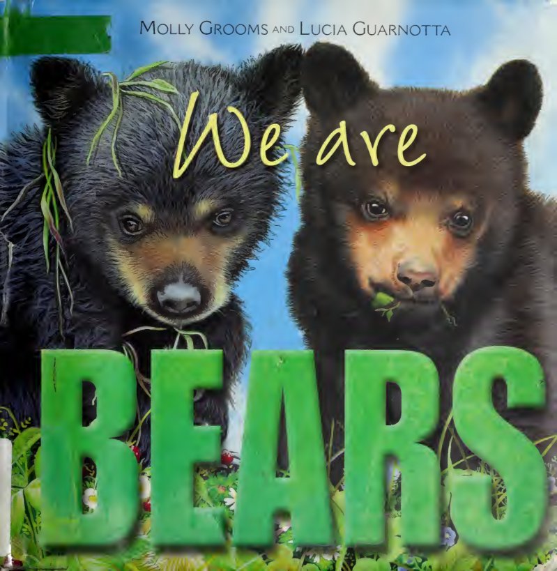 Cover of We are bears