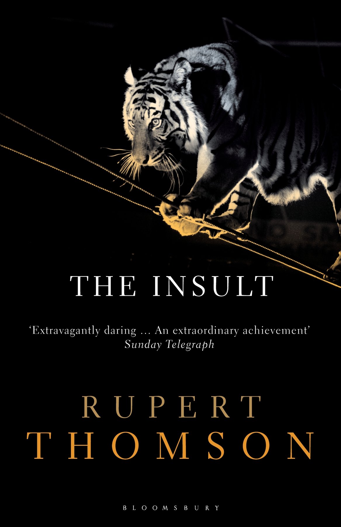 Cover of The Insult (1996)