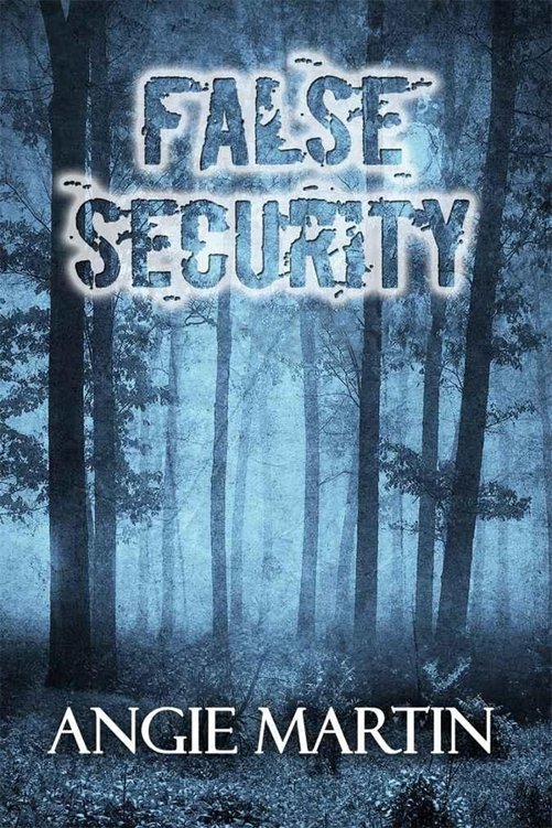 Cover of False Security