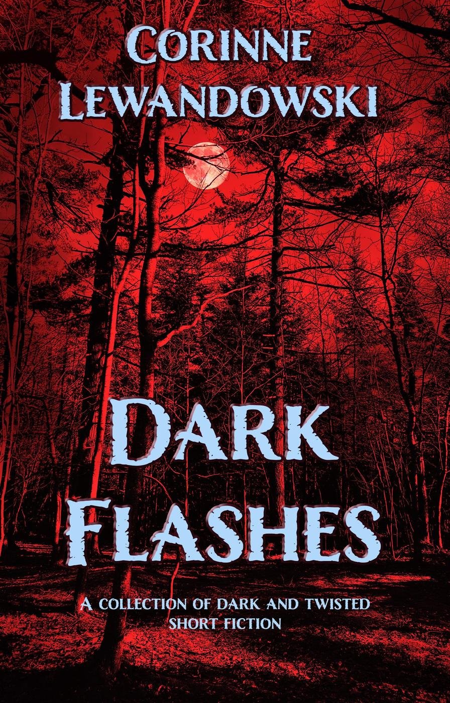Cover of Dark Flashes