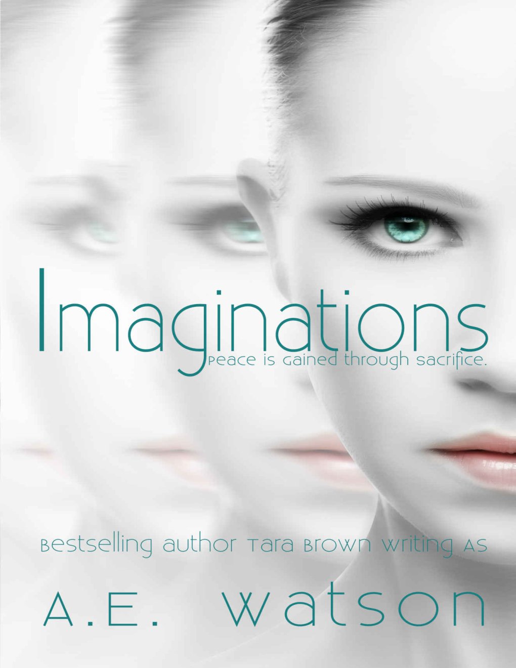 Cover of Imaginations (2013)