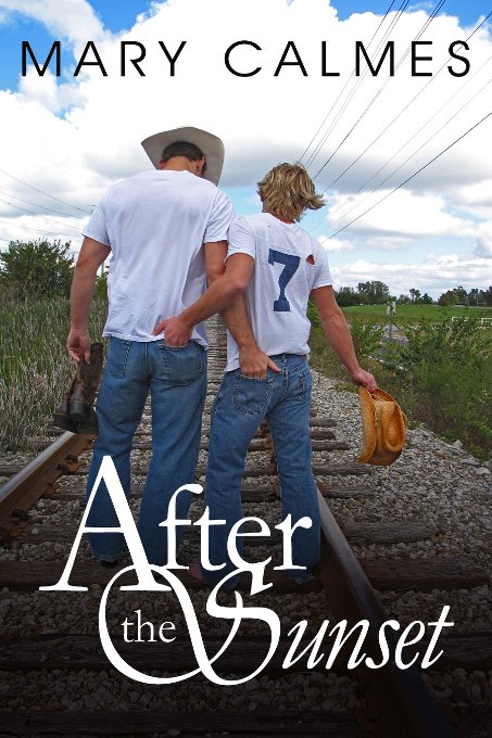 Cover of After the Sunset