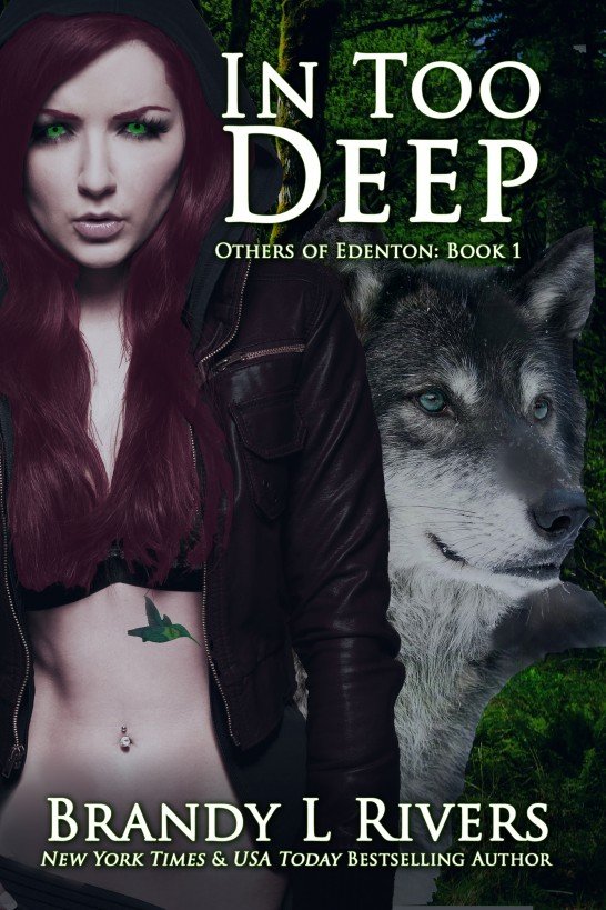 Cover of In Too Deep