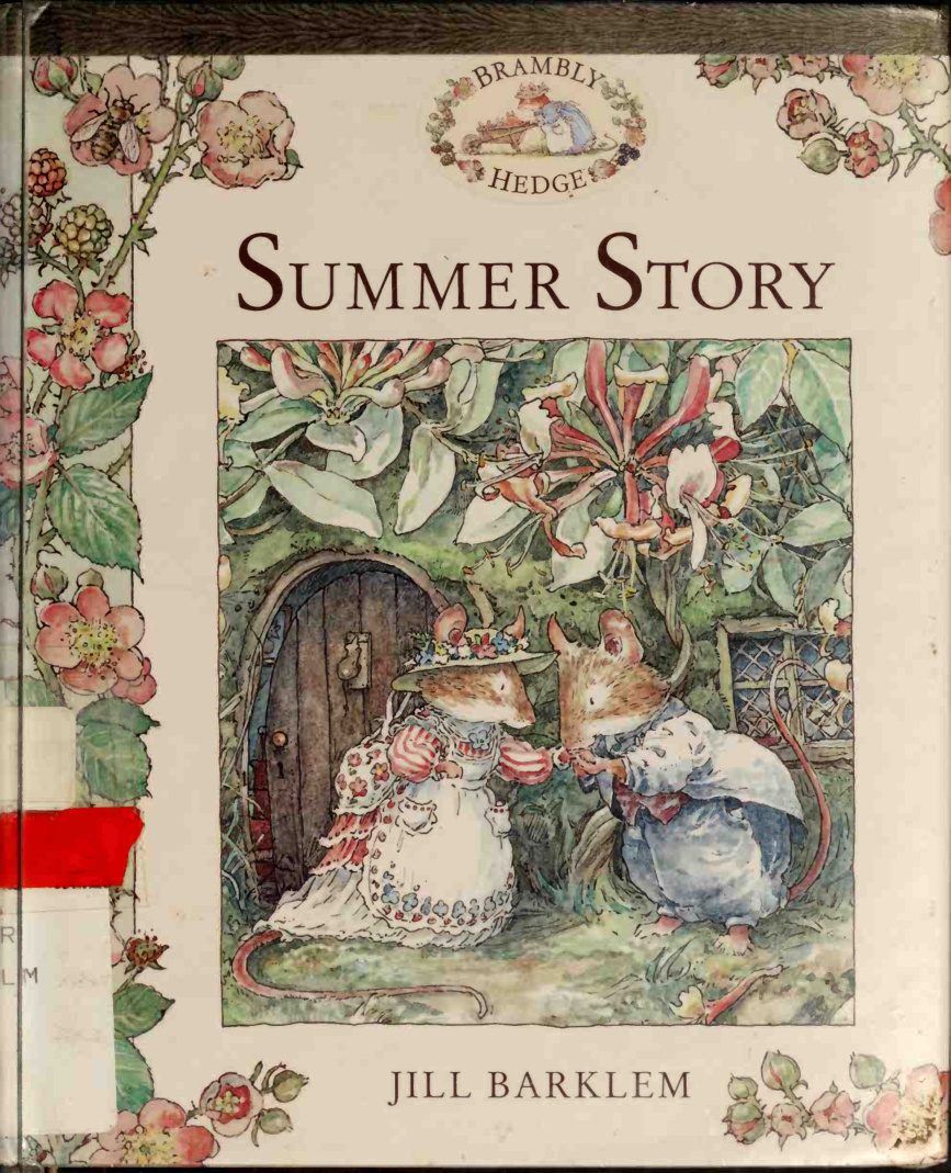 Cover of Summer story