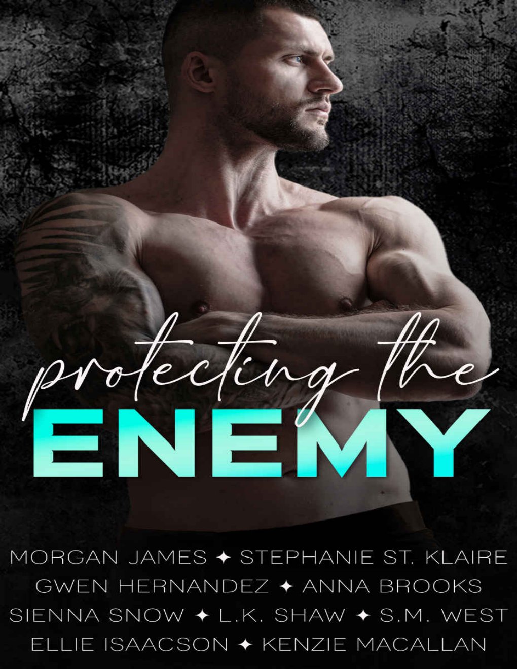 Cover of Protecting the Enemy: A Romantic Suspense Anthology