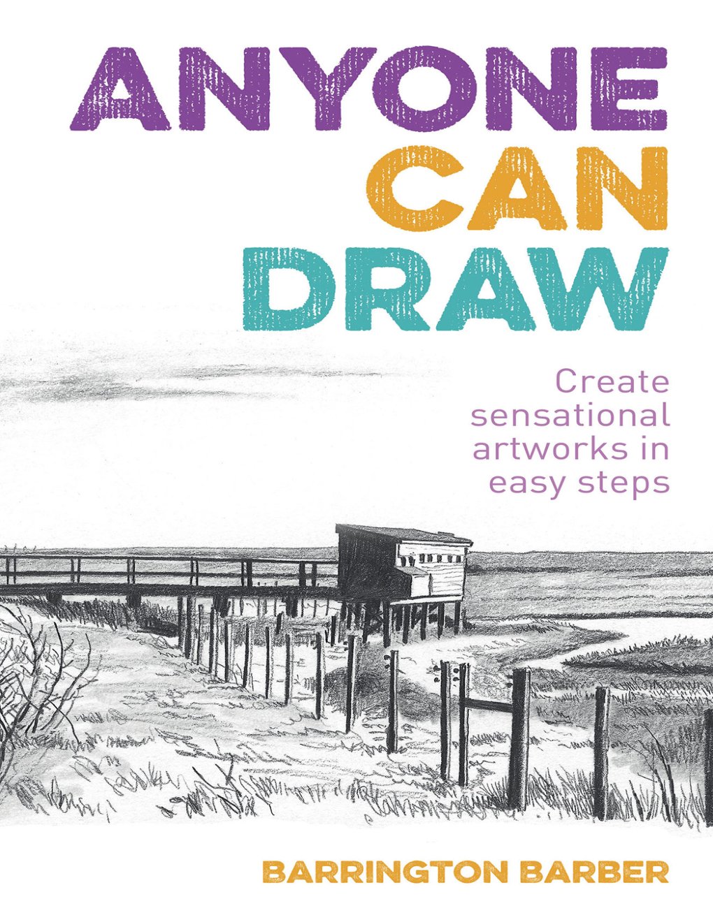 Cover of Anyone Can Draw