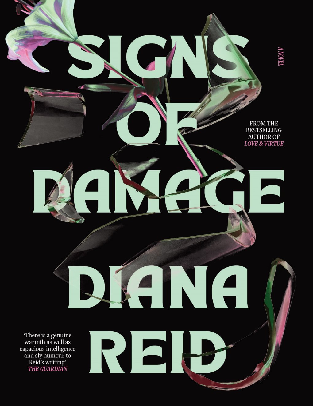 Cover of Signs of Damage