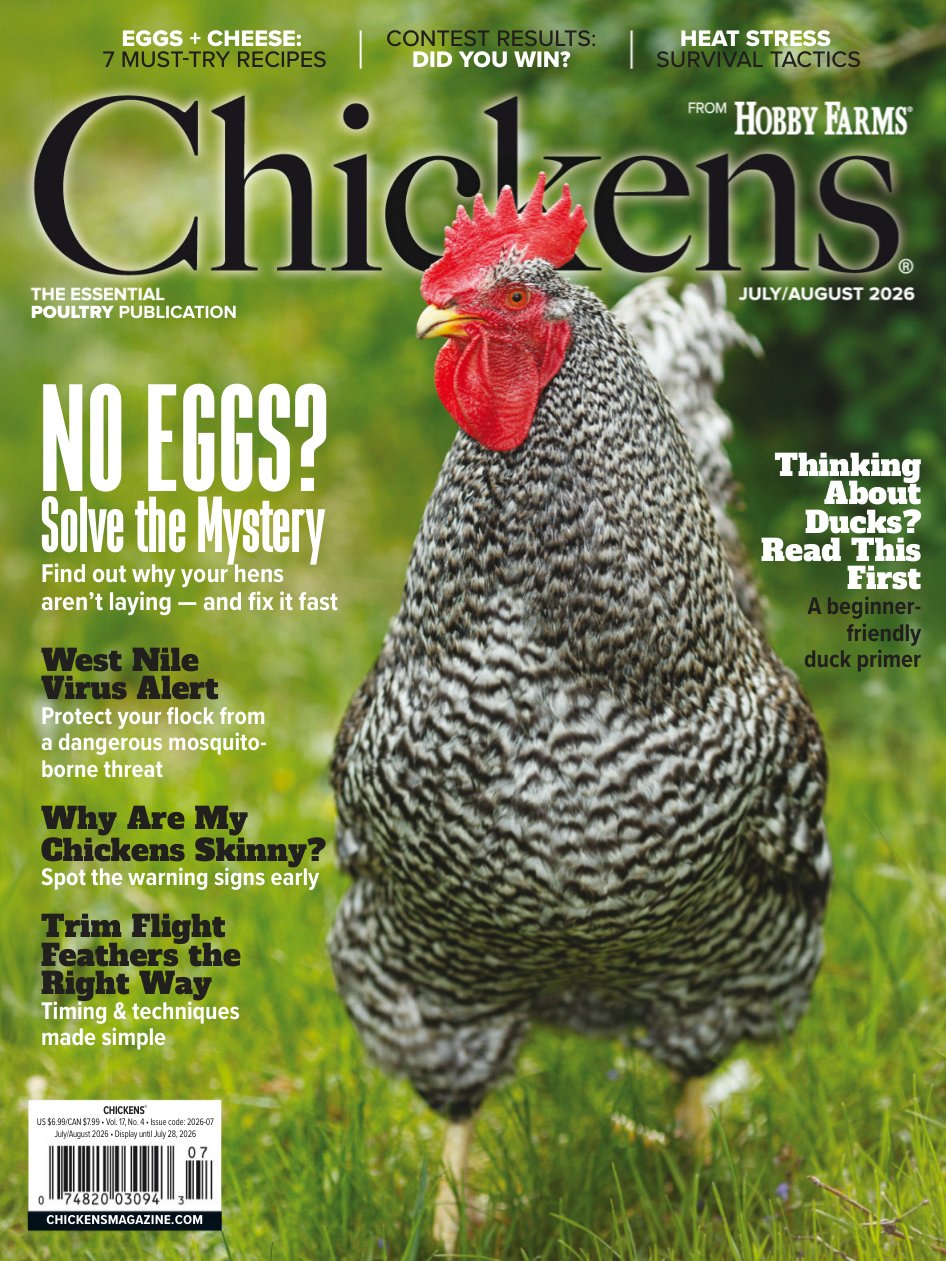 Cover of NO EGGS?