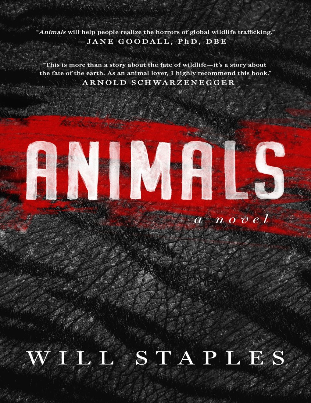 Cover of Animals