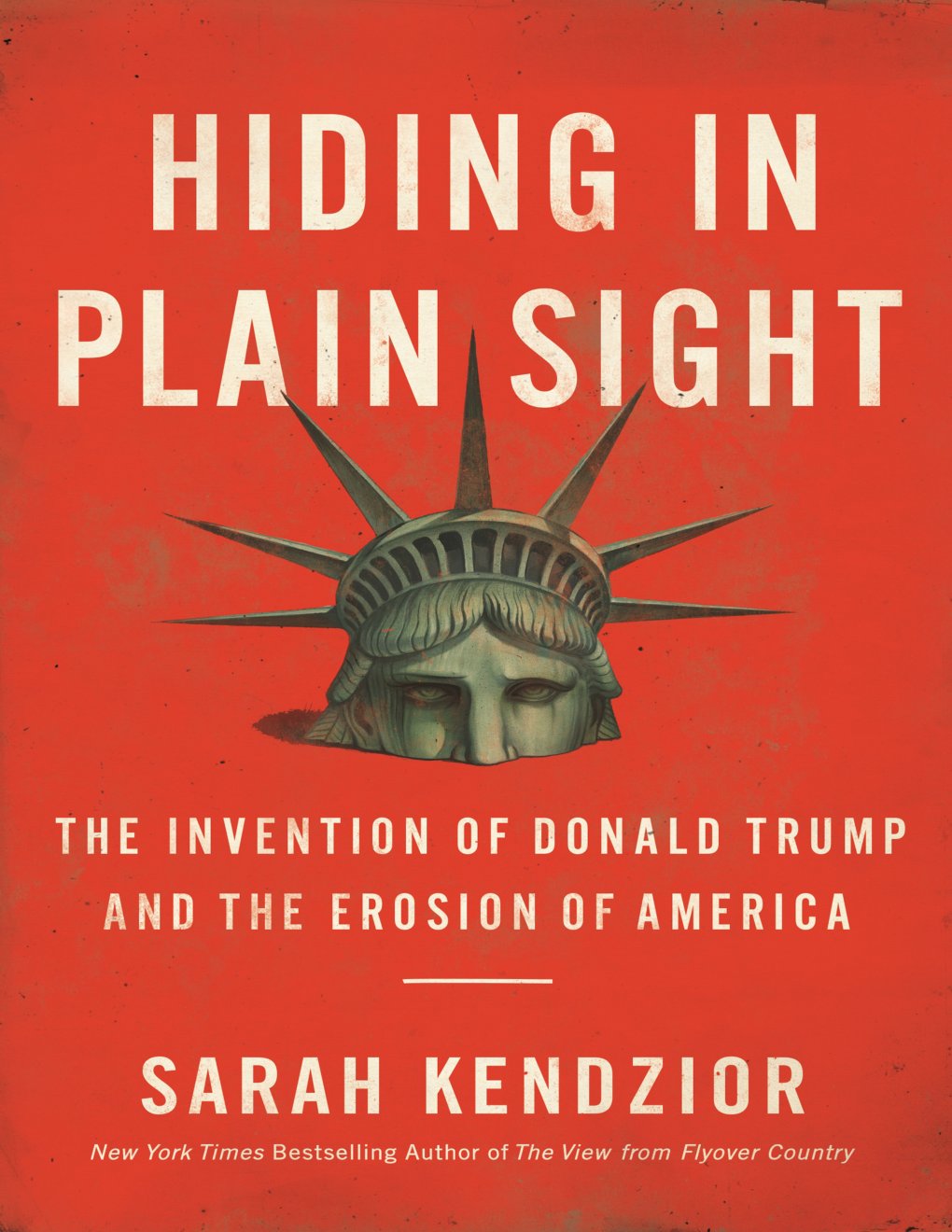 Cover of Hiding in Plain Sight (1899)