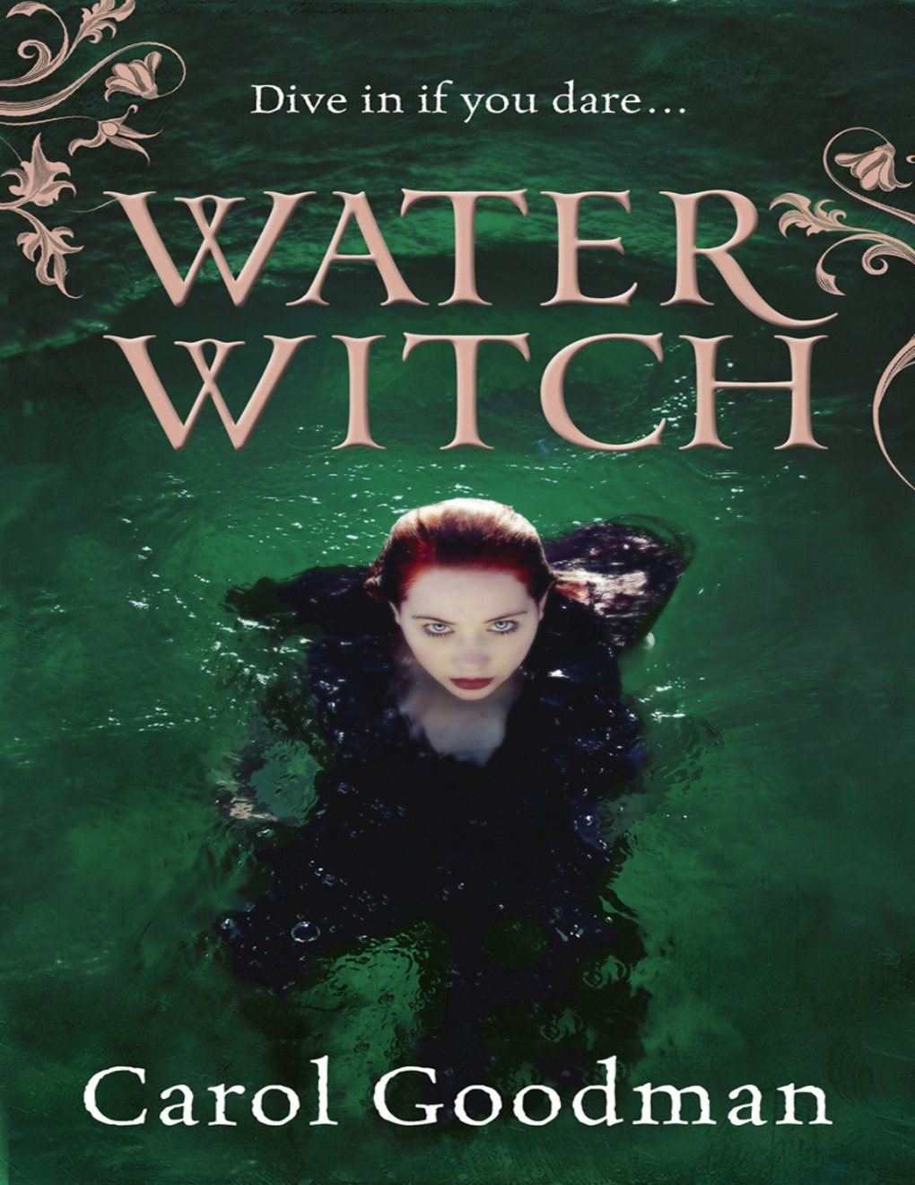 Cover of Water Witch (1988)