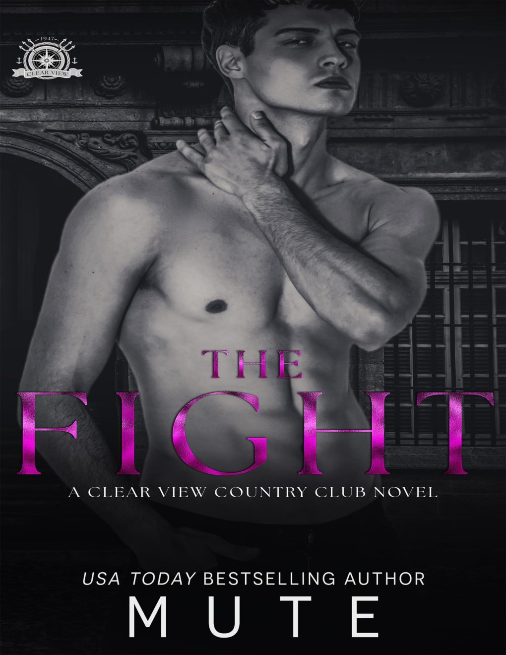 Cover of The Fight: A Forbidden Romance