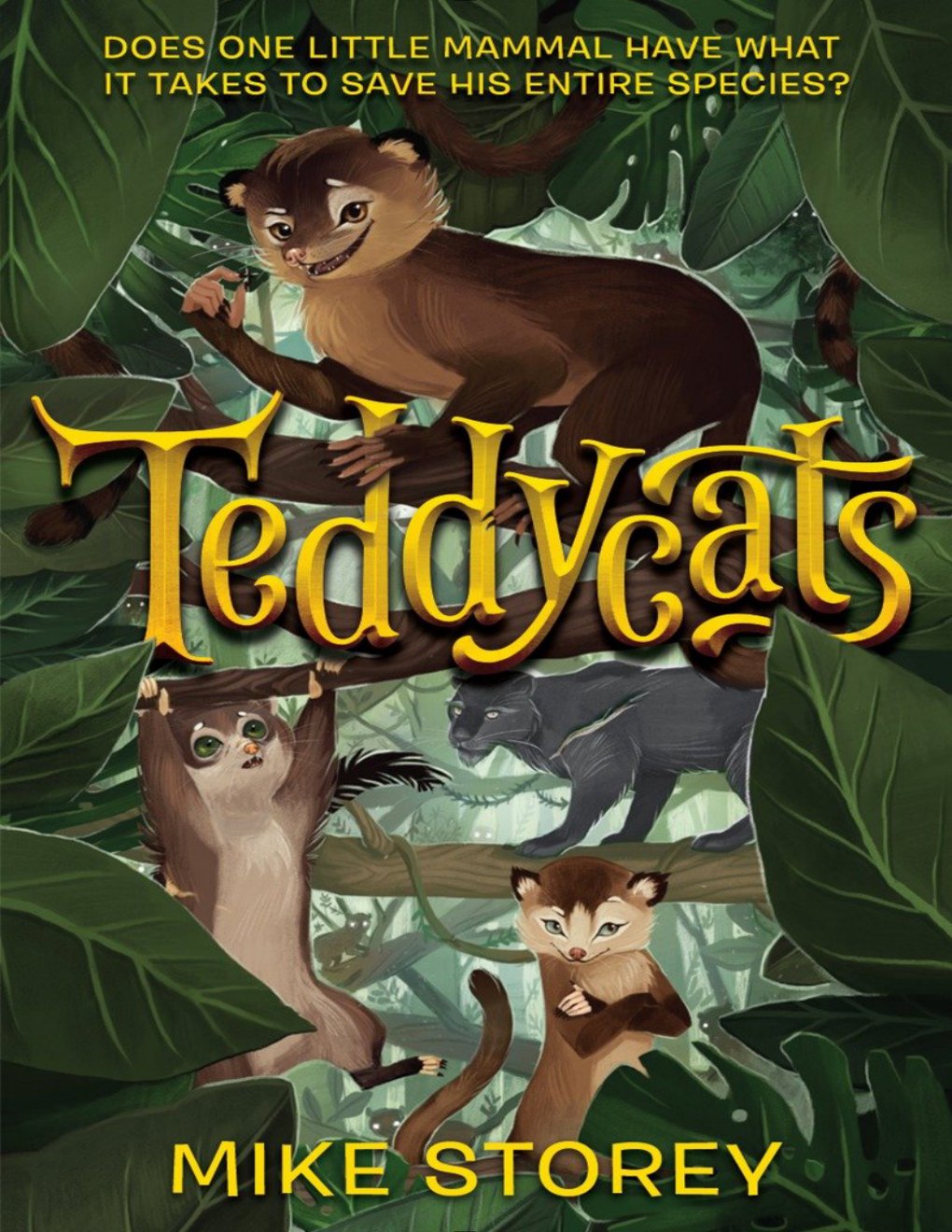 Cover of Teddycats