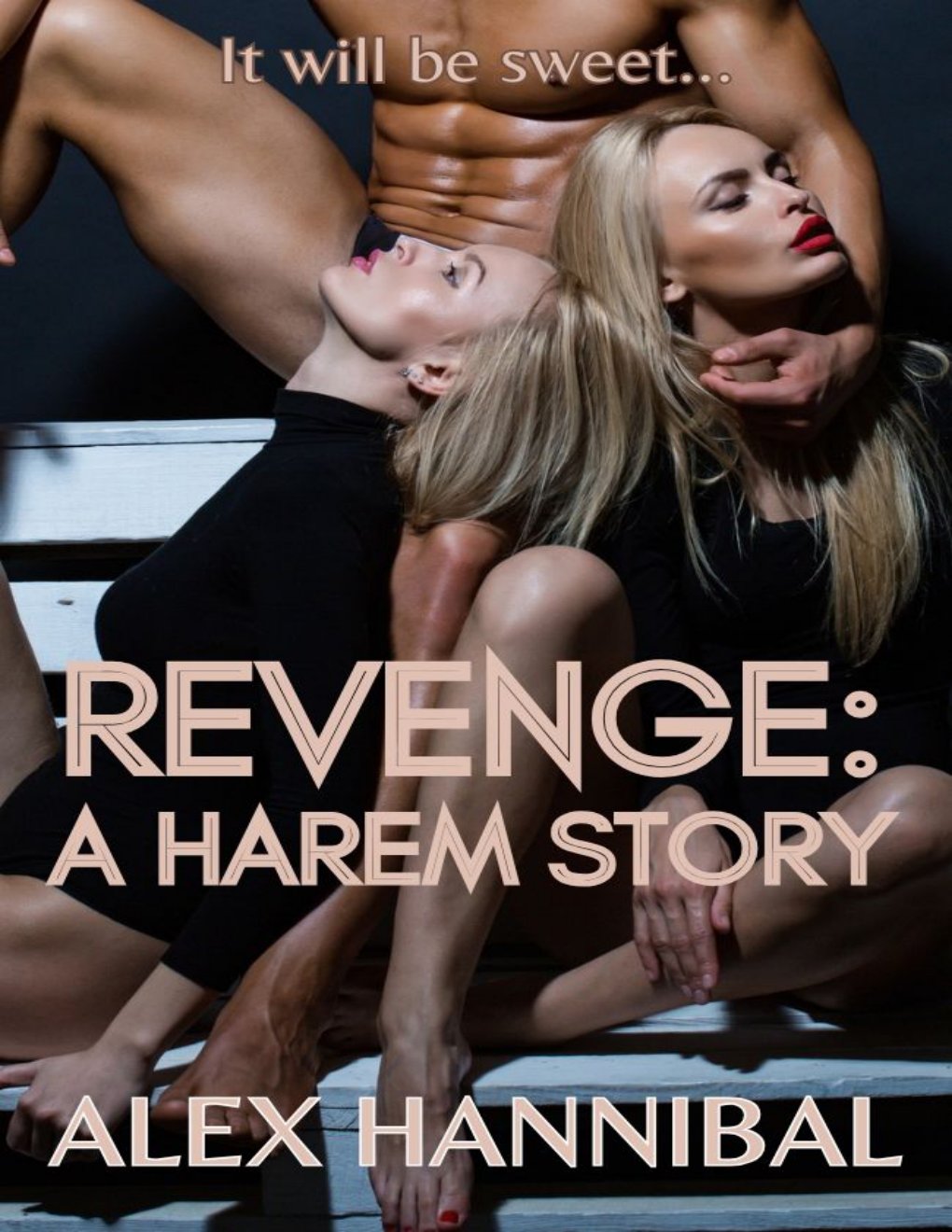 Cover of Revenge: A Harem Story: Menage Fantasy Erotica