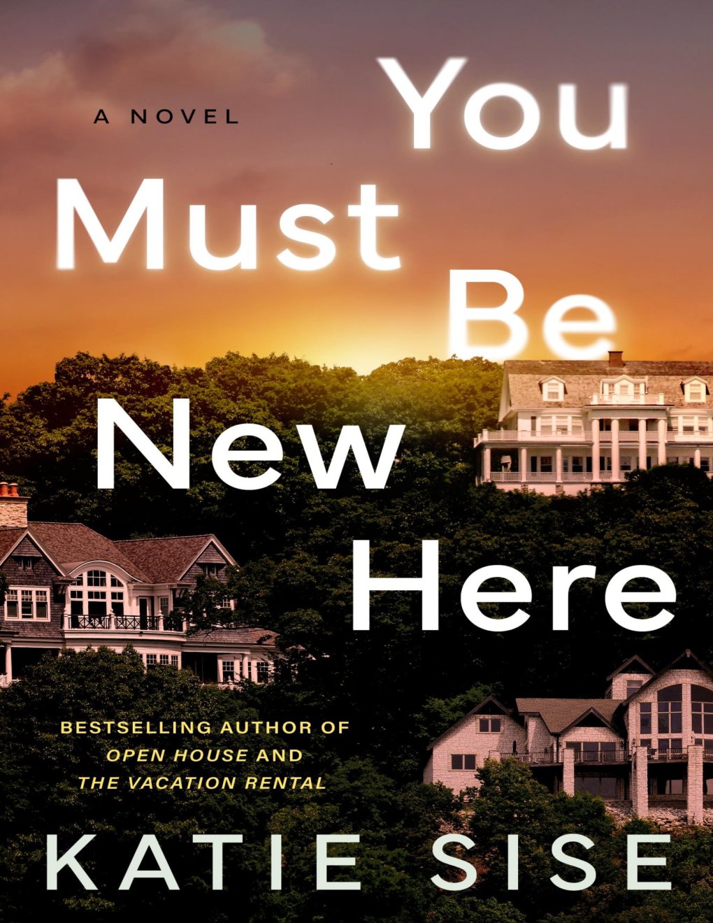 Cover of You Must Be New Here: A Novel