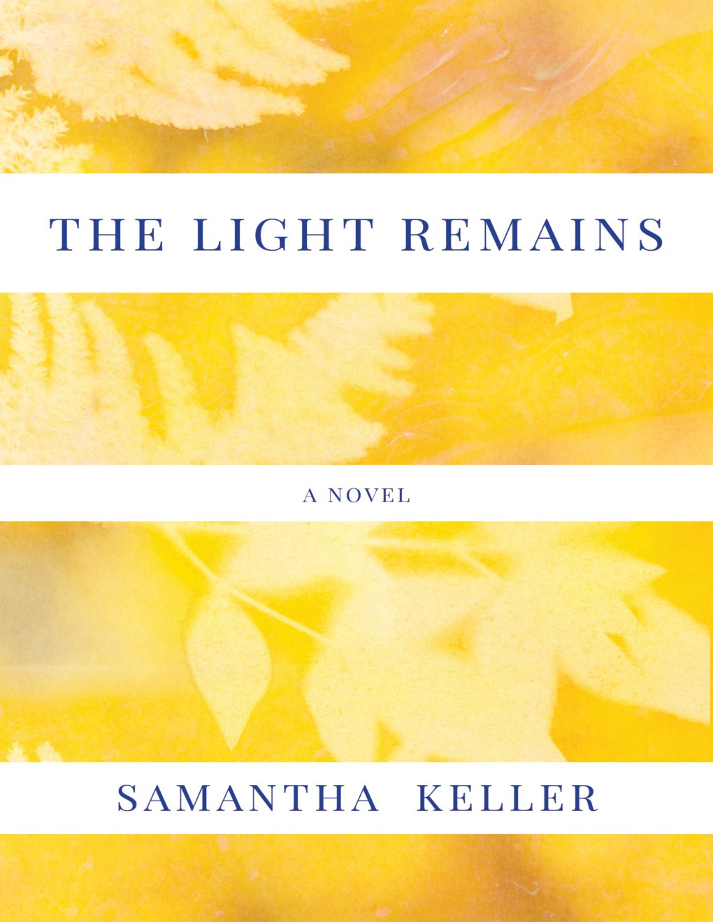 Cover of The Light Remains
