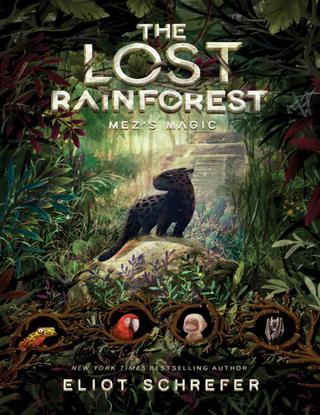Cover of The Lost Rainforest