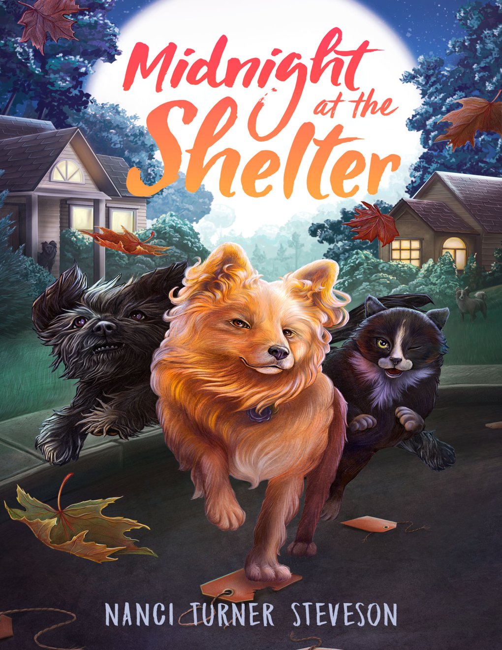 Cover of Midnight at the Shelter