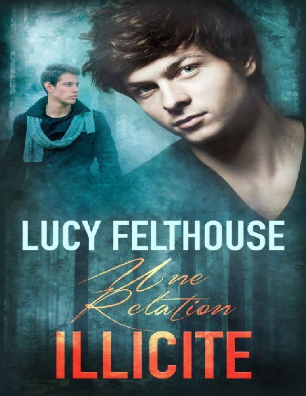 Cover of Une relation illicite