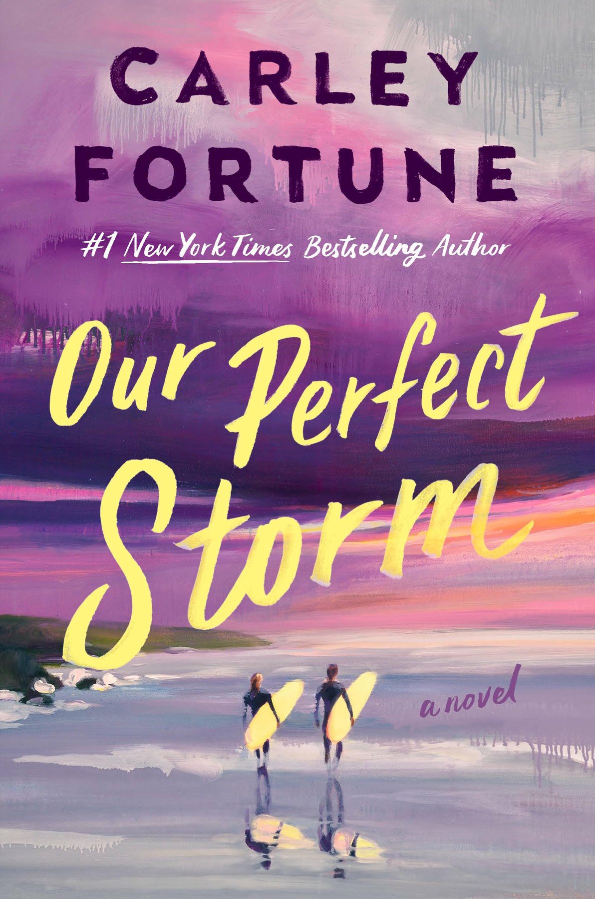 Cover of Our Perfect Storm
