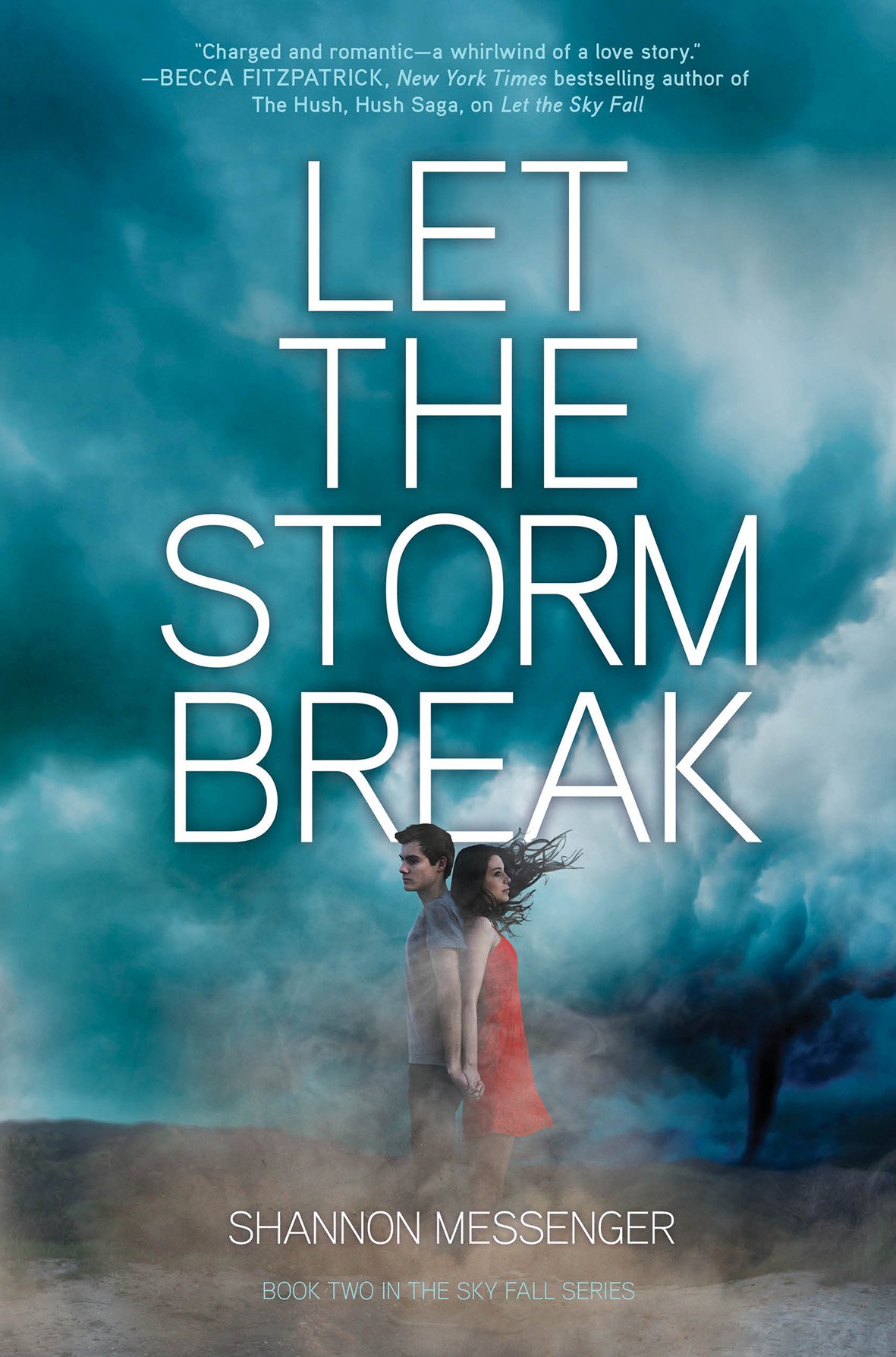 Cover of Let the Storm Break