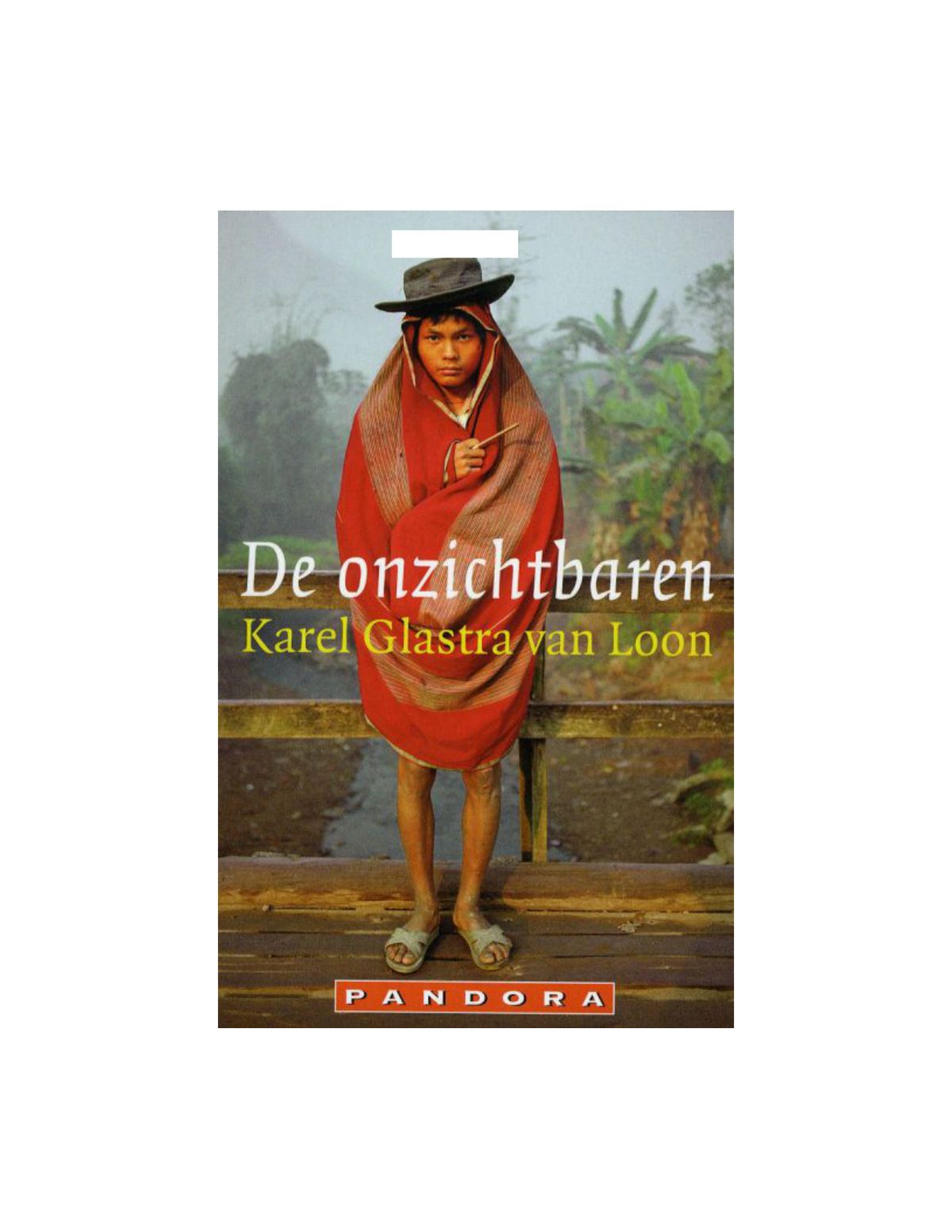 Cover of De Onzichtbaren (2001)