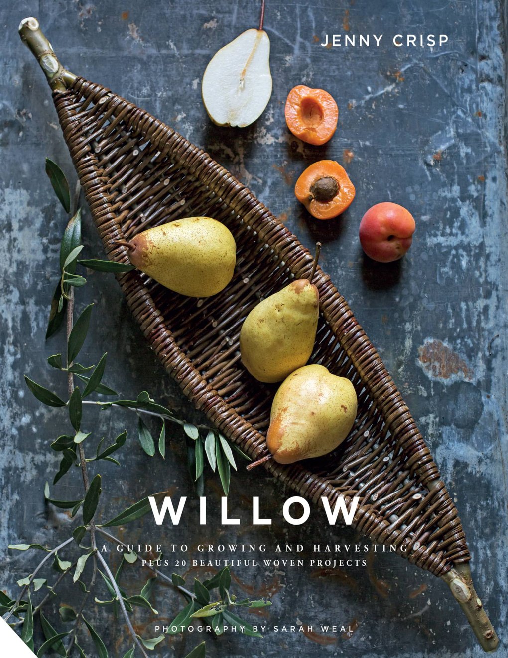 Cover of Willow