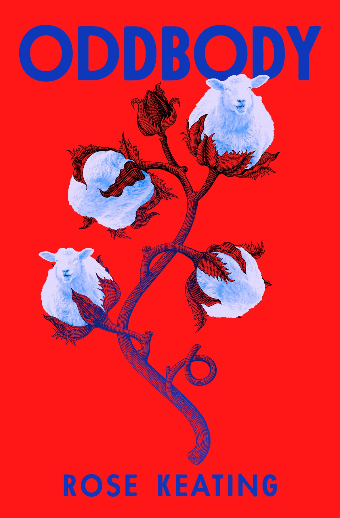 Cover of Oddbody; Stories (2025)