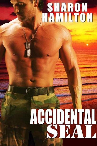Cover of Accidental SEAL (SEAL Brotherhood #1)