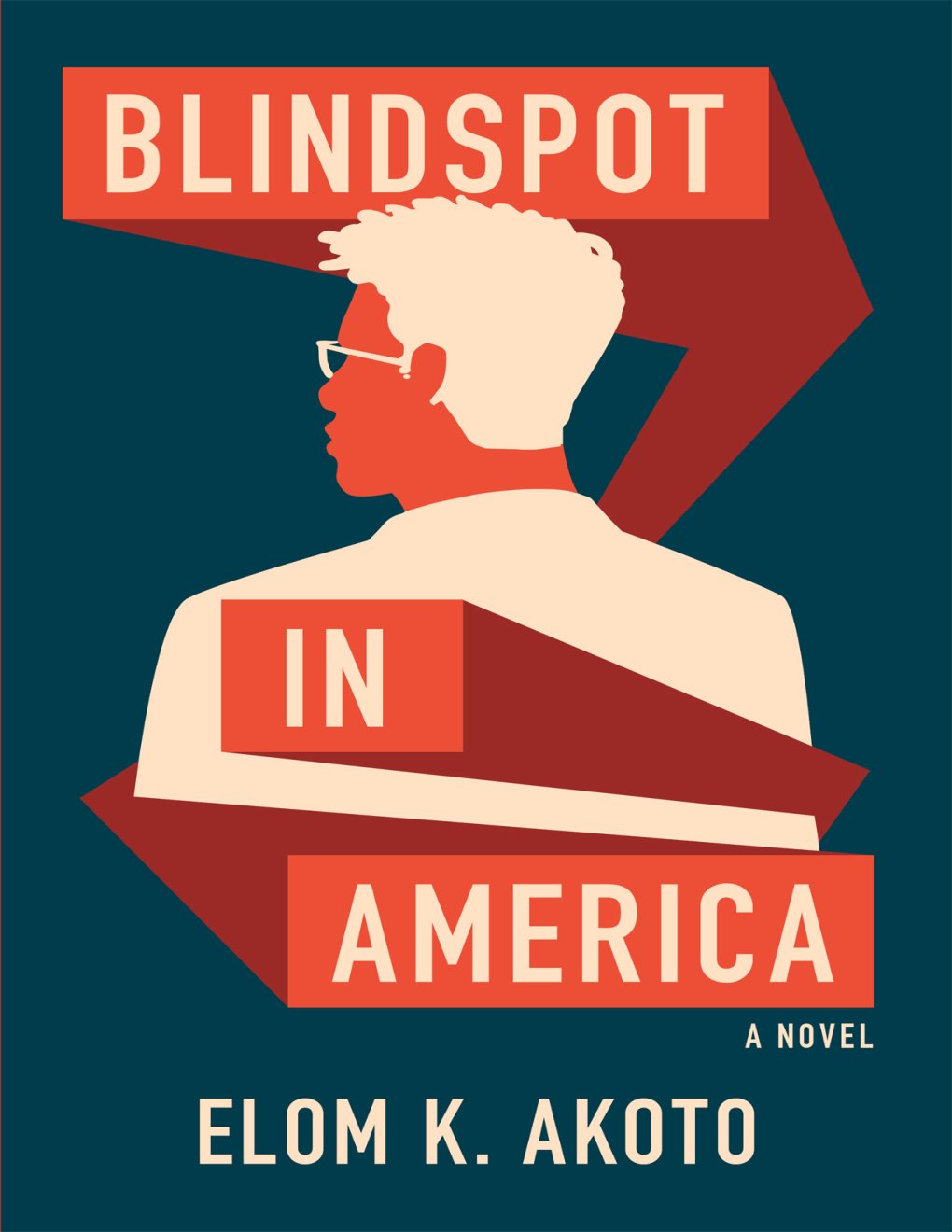 Cover of Blindspot in America