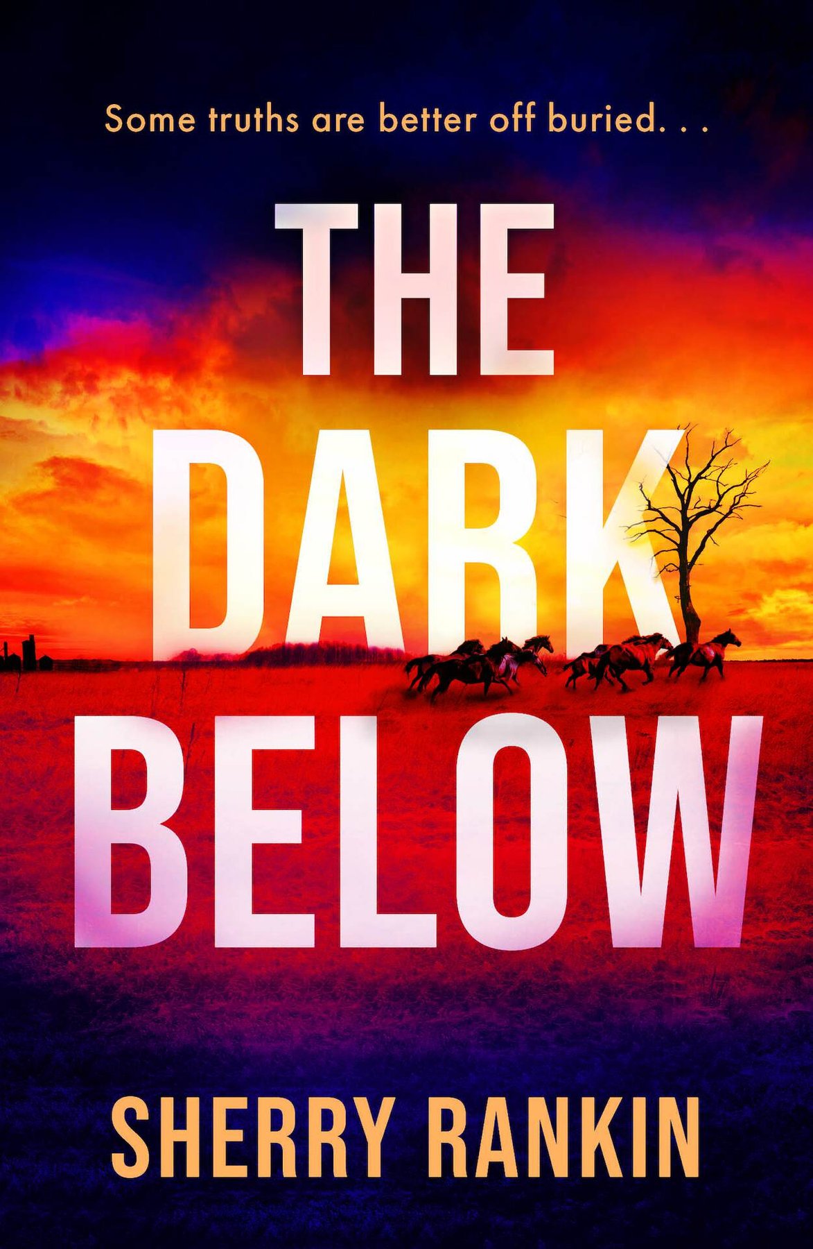 Cover of The Dark Below (1855)