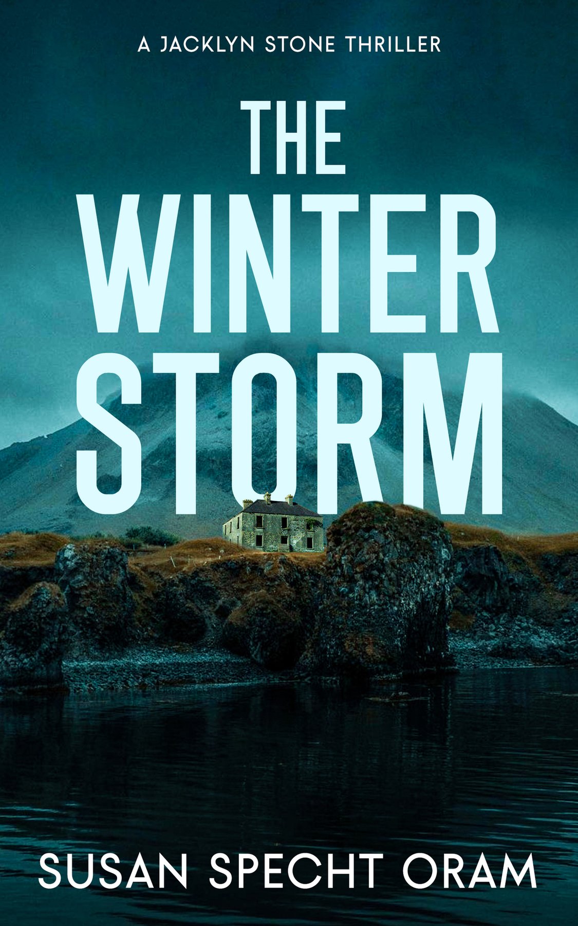 Cover of The Winter Storm: A Jacklyn Stone Thriller (Jacklyn Stone Thrillers: High Stakes Suspense with Heart Book 1)