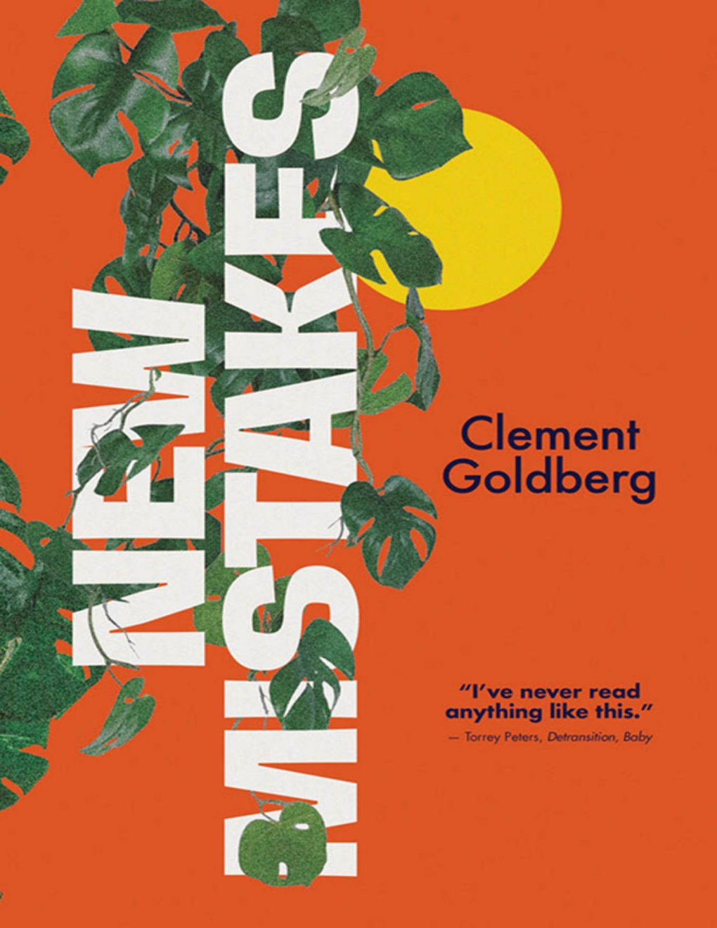 Cover of New Mistakes