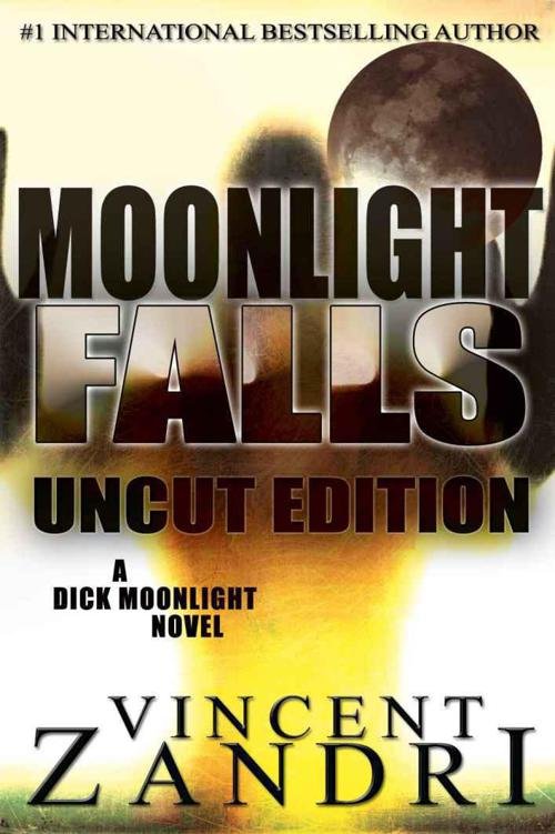 Cover of Moonlight Falls