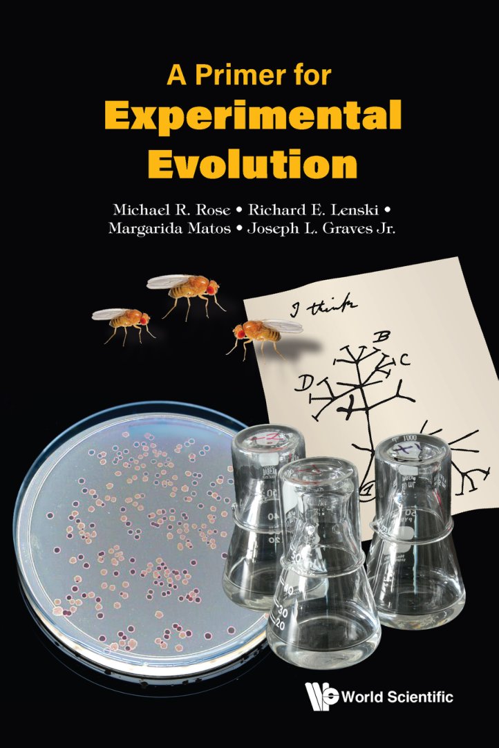 Cover of A Primer for (1955)
