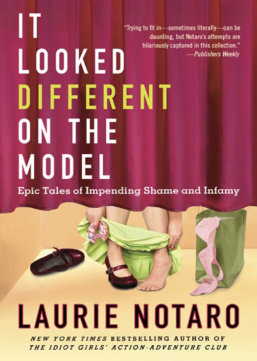 Cover of It Looked Different on the Model