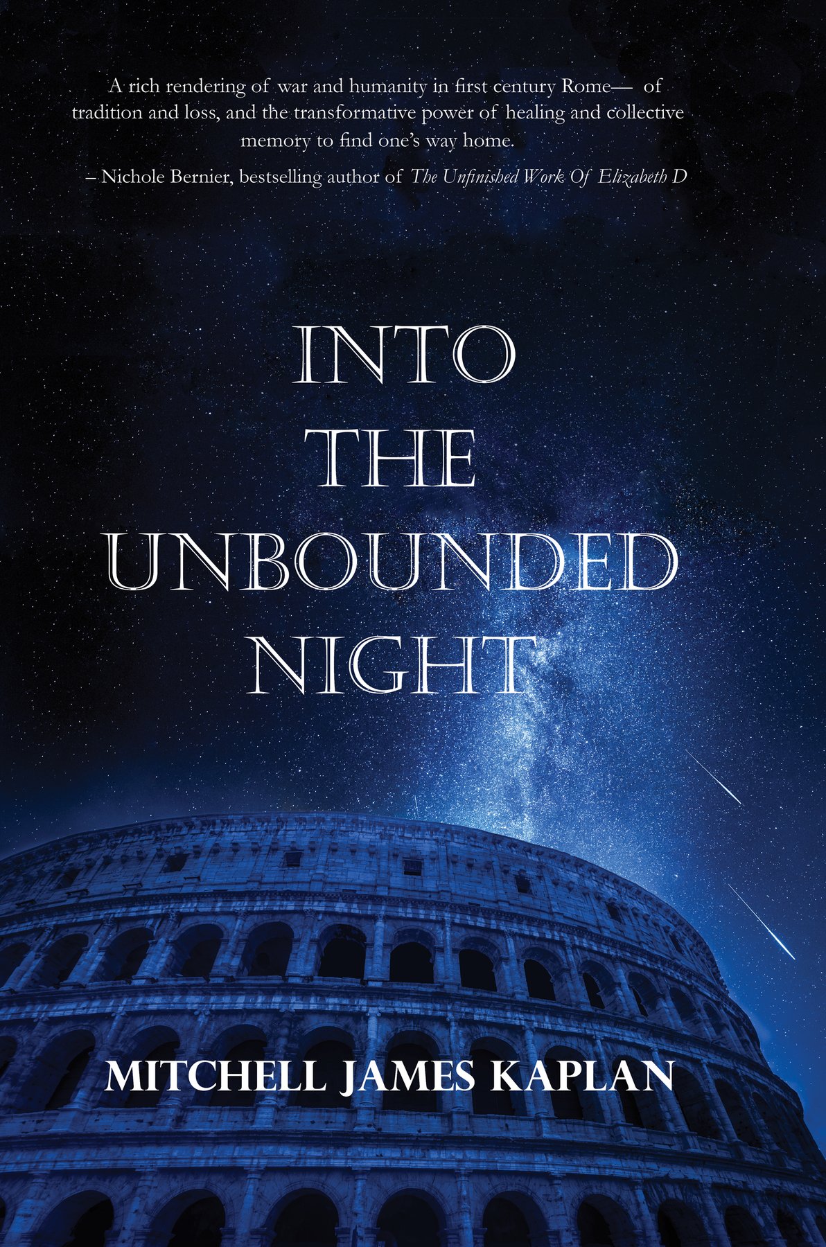 Cover of Into the Unbounded Night