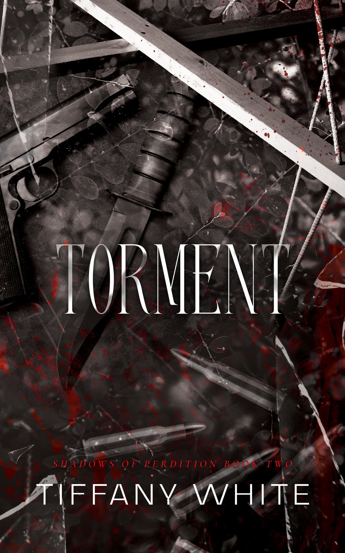 Cover of Torment (Shadows of Perdition Book 2)
