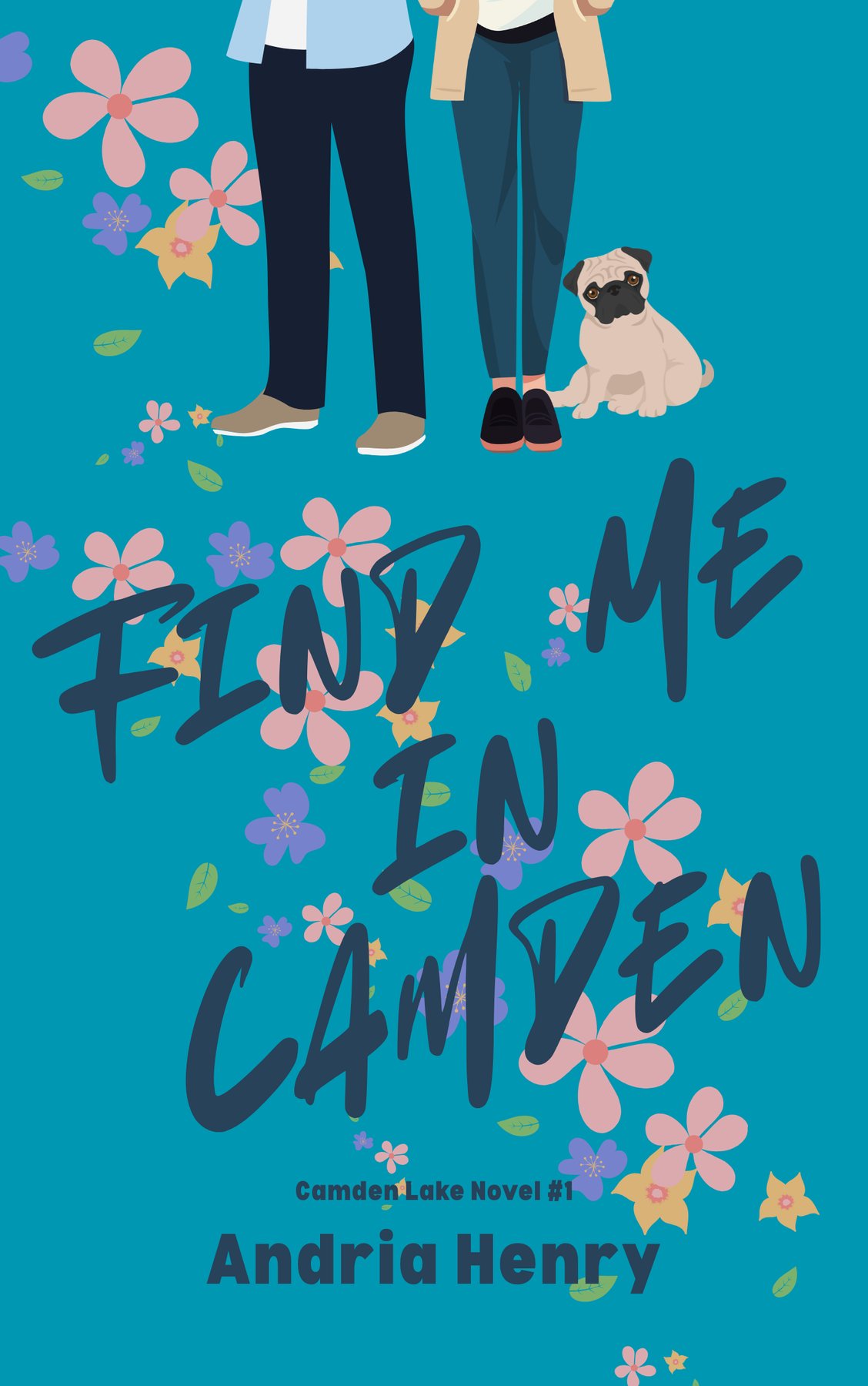 Cover of Find Me in Camden (2025)