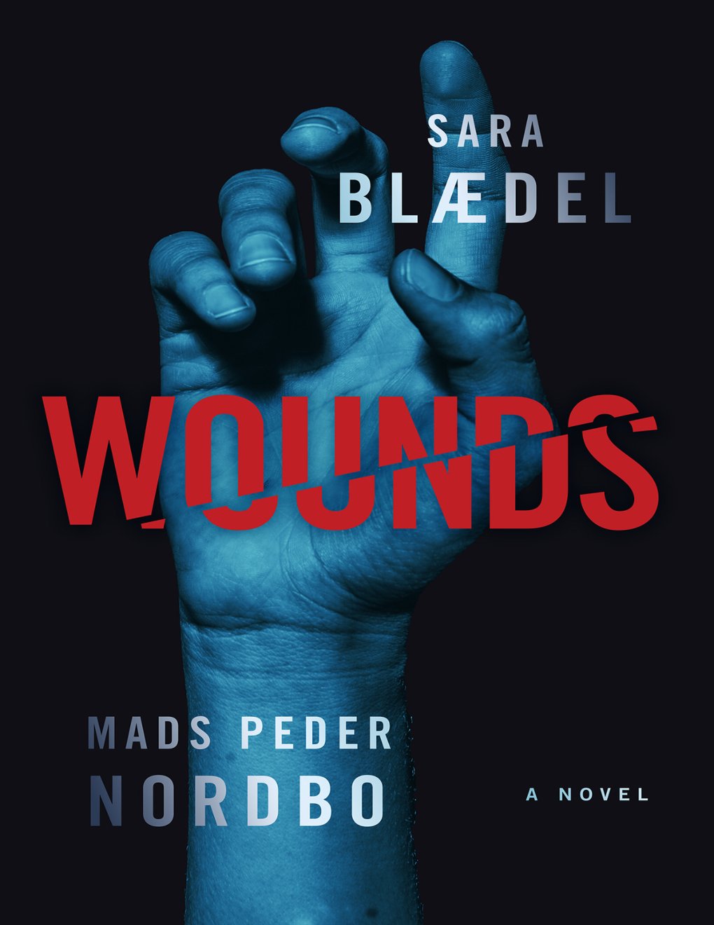 Cover of Wounds (1882)