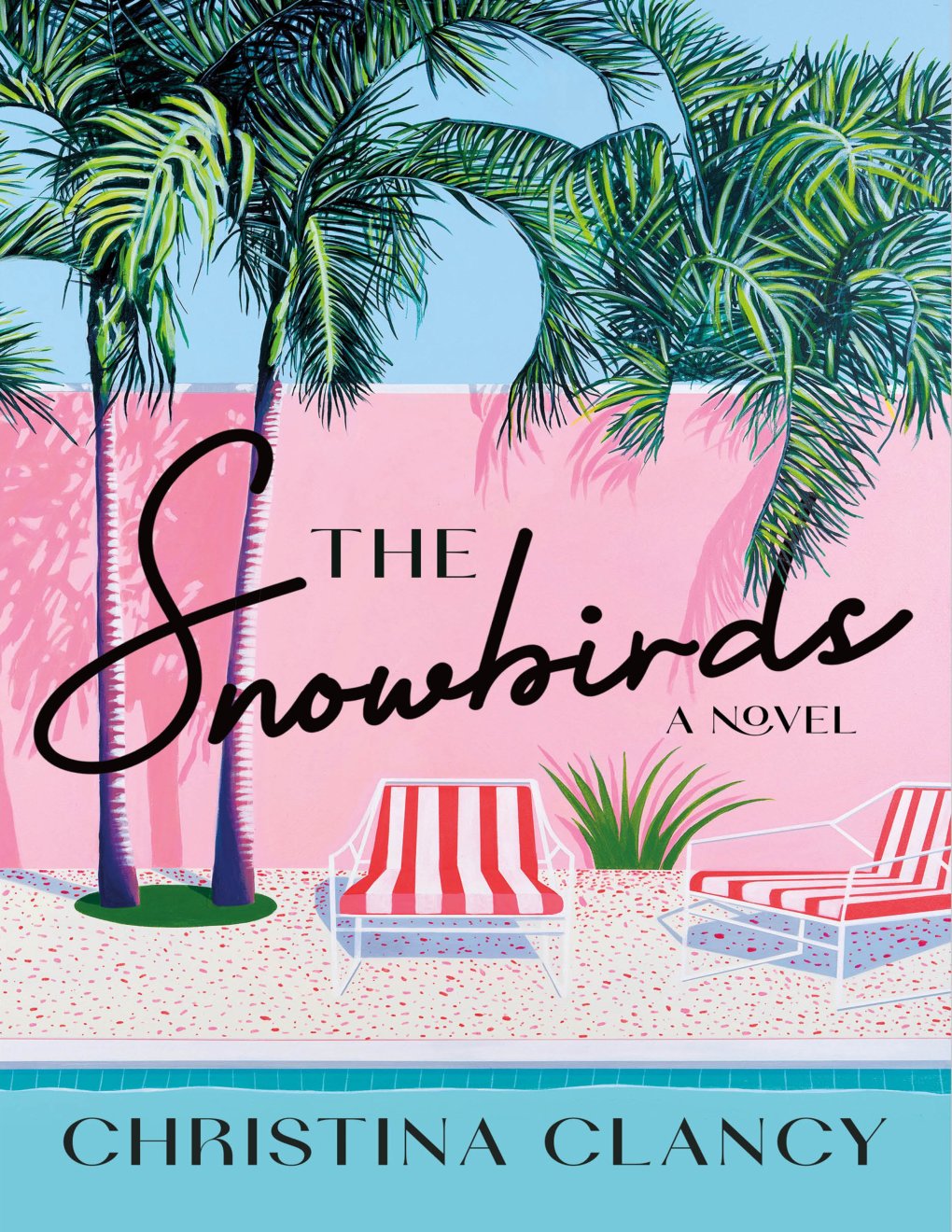 Cover of The Snowbirds